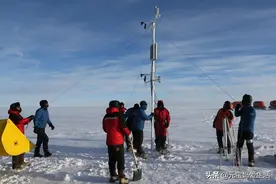 蛇的寿命到底有多长？荒郊野外为何很难见到死掉的蛇？它们去哪了图片