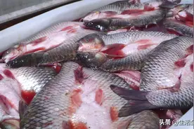 三农品鉴官探乡村丨寻迹盘中餐：腌鱼不用自己动手 照样有年味儿图片