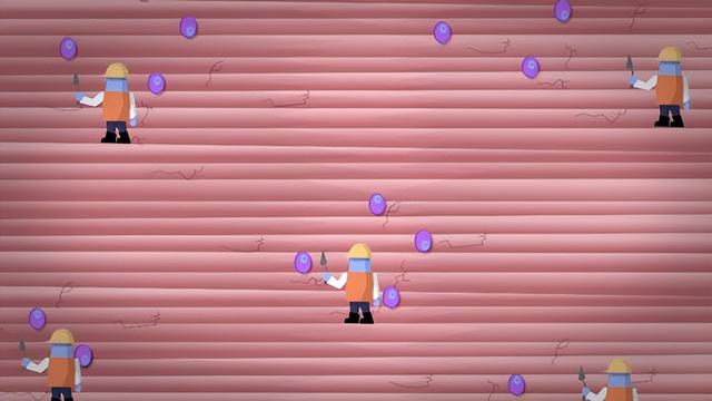 肌肉是如何生长的？