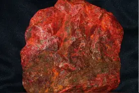 这个文玩明明有剧毒，但喜欢的人超多，价格还不低图片