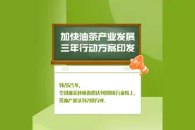 加快油茶产业发展三年行动方案印发图片