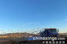 几家欢乐几家愁，京津冀公棚迎来巅峰时刻图片