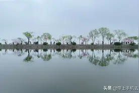 其实，照片拍出高级感并不难图片