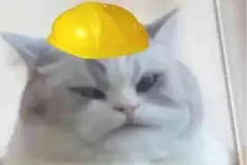 沙雕表情包，给小熊都整得无语了图片