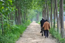 人老了才知道，这世上最亲的，只有三个人！图片