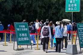 “五一”大熊猫“萌兰”火成啥样?上千人排队!5分钟限时!图片