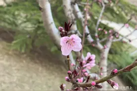 红配绿，赛狗屁？论红绿搭配如何扮出美感图片