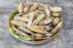 炒蛏子，到底要不要焯水？分享正确做法，肉质鲜嫩可口，还没沙子图片