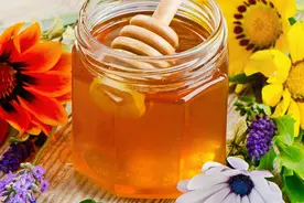 药食同源有蜂蜜 富含酚类化合物及糖类有益健康图片