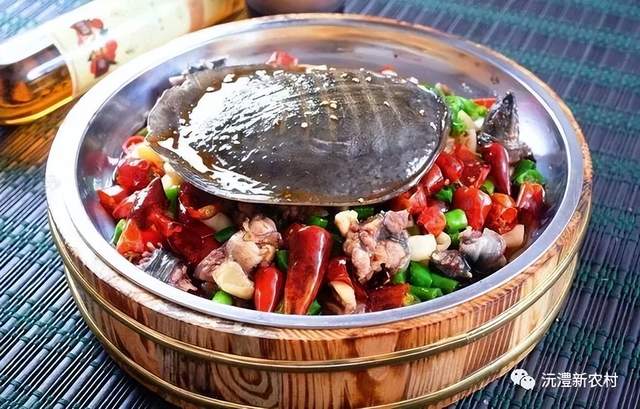 【寻味常德】从一钵常德甲鱼说起(图6)