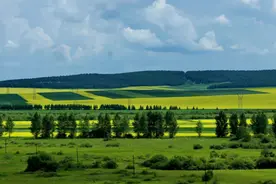 精选20首草原歌曲，天懒之音，旋律悠扬动人图片