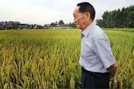 袁隆平的驾驶证终身不用检：是荣誉，更是温饱路上的见证图片