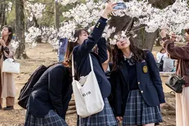 日本学生连内衣和头发颜色都被管束？东京终于废止"奇葩校规"了图片