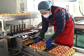 人造鸡蛋泛滥，成本仅仅1毛钱？该如何分辨？这三种鸡蛋劝你少吃图片