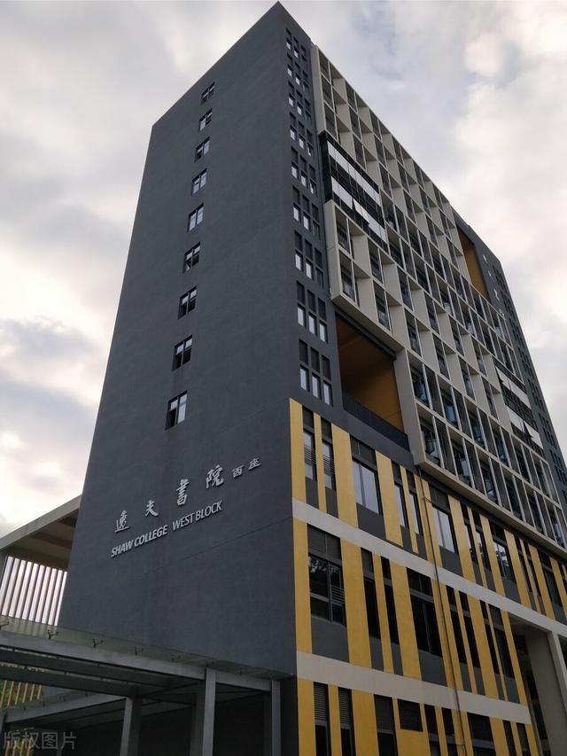 悉尼大学,纽约大学,爱丁堡大学,圣路易斯华盛顿大学,伦敦国王学院