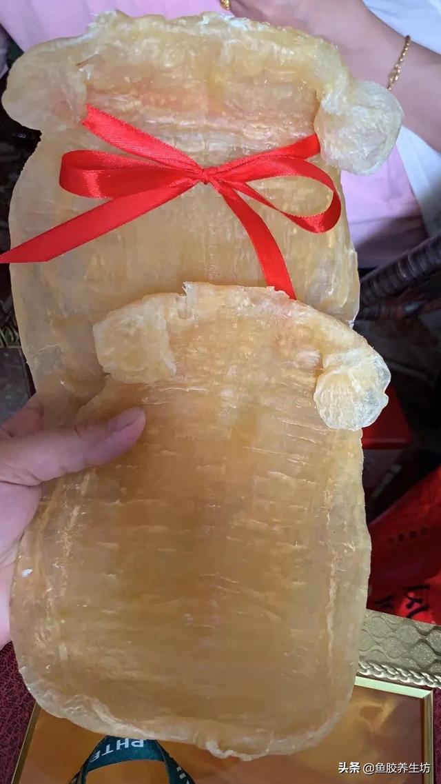 四大赤嘴鱼胶排名 赤嘴鱼胶产地哪里?最好