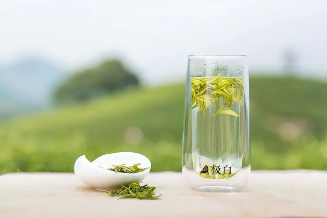 极白·安吉白茶，中国养生白茶领导品牌，只做氨基酸含量高的茶