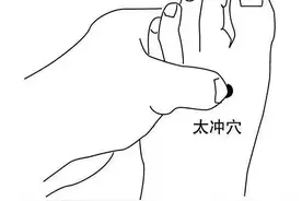5个穴位教你轻松学会夏季养肝护肝图片