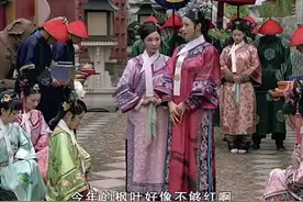 与《甄嬛传》有关的趣味梗图片