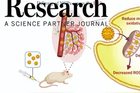 Research | 一种超小型配位聚合物通过缓解炎症实现对帕金森病疾病的有效治疗图片