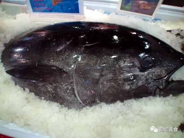 什么海鲜胶原蛋白最多 2025年海鲜含有胶原蛋白吗