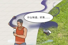 一群人里，为何蚊子偏偏只咬你？和血型无关，真正的原因有5个图片