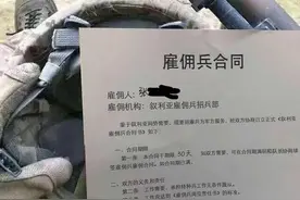 雇佣兵，是酷炫职业，还是炮灰作坊？图片