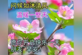 早上好表情包 大家早上好表情大全动态图片图片