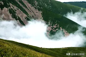 发现京西北·打卡张家口㉟｜河北之脊小五台 苍山翠林赏繁花图片