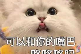 撩妹表情包｜我有绿码 可以亲亲嘛图片