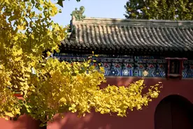命中的一切，皆有定数图片