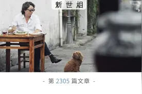 许知远：不要成为过分认真的人图片