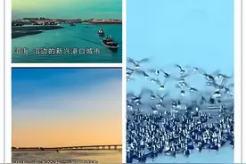美食在身边，东港小海鲜，绝绝子图片