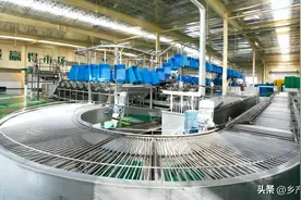 金豆子：专注生产豆芽做到全国第一图片