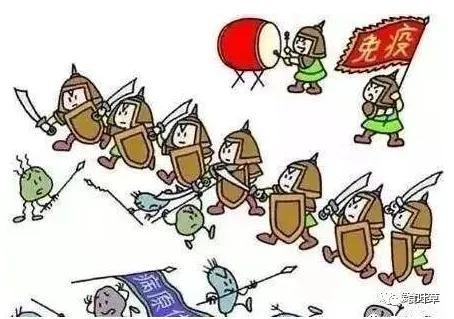 食叶草氨基酸多肽精蛋白与大健康产业