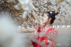 汉服小姐姐带你坐高铁共赴梨花之约图片