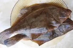 同是比目鱼，鲽鱼和鲆鱼有何区别？肉质差别大，弄懂再买不吃亏图片