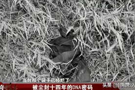 被尘封十四年的DNA密码：广州番禺杀人案侦破纪实图片