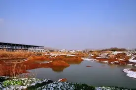 十二生肖凑齐了，南京地名里藏着一个“动物世界”图片