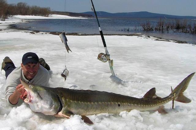 榛戦緳姹熼奔绫讳箣鈥滀笁鍗佷簩鏉傞奔鈥濆浘璋? onerror=