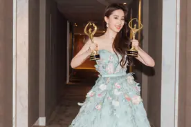 刘亦菲的演艺生涯图片