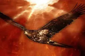 毛主席霸气侧漏且讽刺幽默的一首词：《念奴娇·鸟儿问答》图片