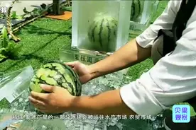 日产上百吨还不够用，制冰厂旺季来了！冰块用途有多少？图片