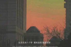 大风刮倒梧桐树 自有旁人论短长/文案~背景图图片
