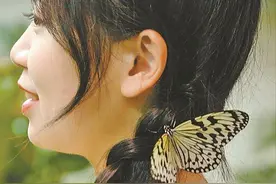 逗鸟追蝶，厦门兴起“鸟咖”等宠物体验店图片