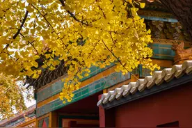 20句讽刺人的文案，旁观的时候，每个人都是智者图片