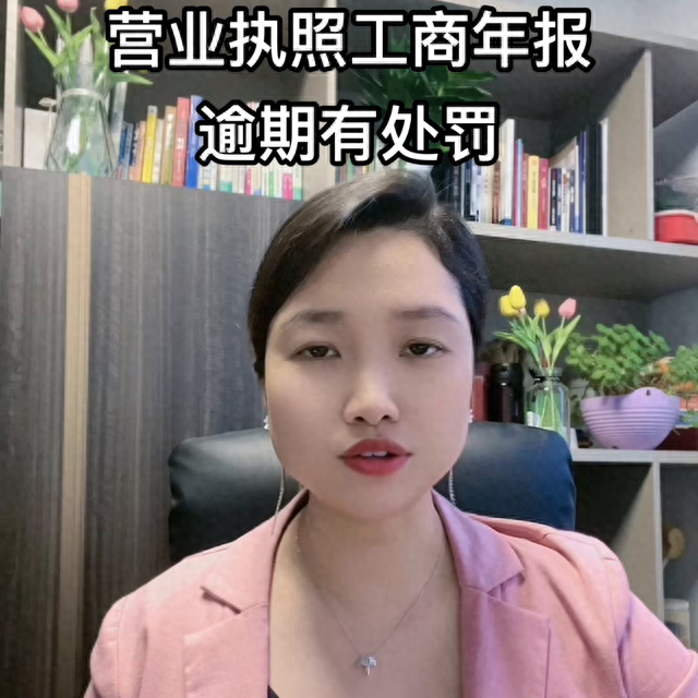 逾期未换营业执照情况说明，营业执照工商年报时间 配图01