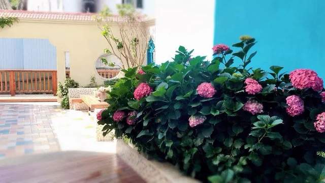 四川省民生研究会新媒体中心-官网