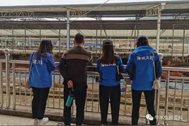 犊牛出现咳嗽、喘、肺炎该如何治疗？图片