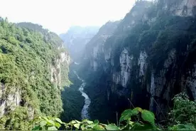 2014年科考队入贵州洞穴考察，洞中惊现奇宝，随行教授：价值连城图片